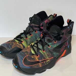 Lebron James Nike 13 Akronite Philosophy Shoes